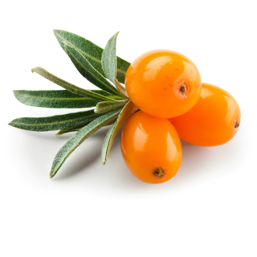 Sea Buckthorn Skin Care with Natural Ingredients